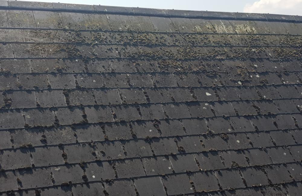 dirty old roof