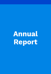 Annual report