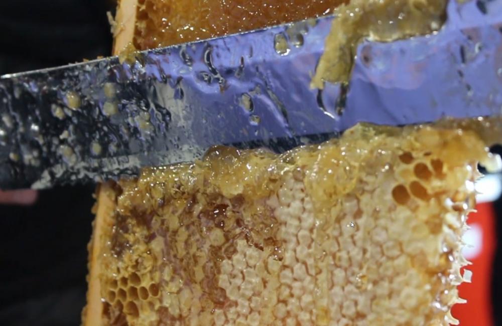 Honey getting caps removed by a hot blade